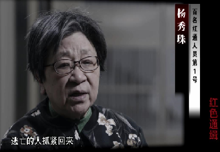 杨秀珠02.png