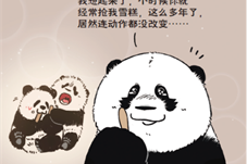 【文化】国宝熊猫IP成为心灵治愈后援团