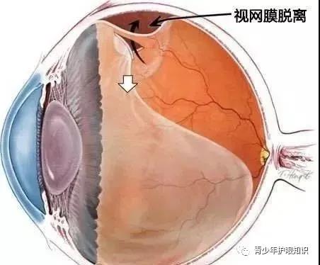 微信图片_20211214175800.jpg