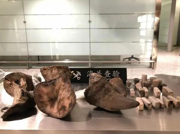 微信图片_20211217145031.jpg