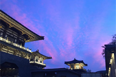 【健康】西安老鼠惹的出血热，会波及到我们每个人么？草莓还能吃么？这些资料掰给大家看。