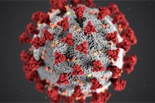 【健康】首个Omicron真实世界感染报告：传染性极强，症状像流感！