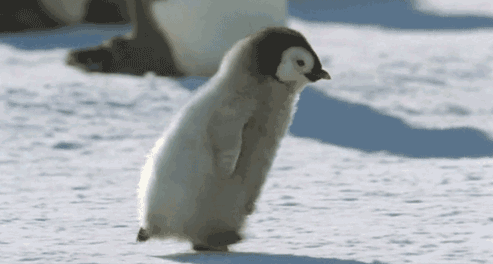 eb14e4a7ff.gif