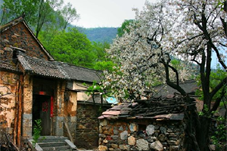 【委员之声】朱晓进：加强乡村文化建设 助推乡村全面振兴