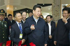 《求是》杂志发表习近平总书记重要文章