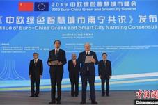 崔洪建：中欧如何为动荡世界注入稳定力量？