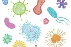 【健康】你想吃什么？肠道微生物来定