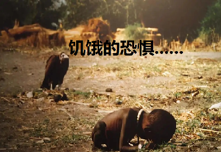 粮农03.png