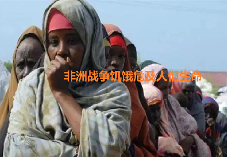 粮农05.png