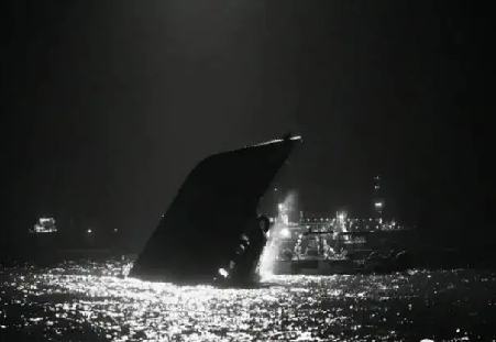 向阳红16号03.png