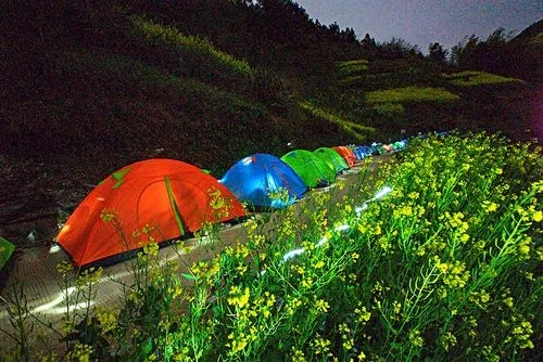 35.webp (1).jpg