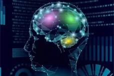 【科技】借助AI 人类能听懂动物的“喜怒哀乐”？