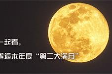 【科技】“超级月亮”现身夜空