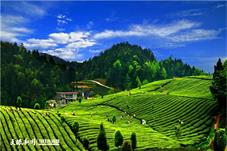 中国旅游业重塑山地旅游引领 活力涌动未来可期