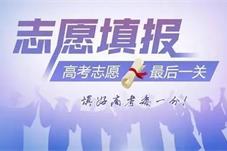 教育部：高中阶段学校、教师不得代替考生填报志愿