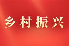 文旅融合激活乡村振兴“新引擎”