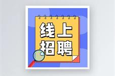 线上招聘时间地点更灵活 打开求职就业“快速通道”