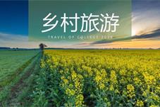 全面推进乡村振兴：务必要大力发展乡村旅游