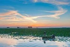 微山湖旅游区确定为国家5A级旅游景区