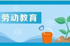 劳动教育浇灌“祖国的花朵”
