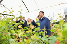【生态文明】建构中国自主的生态文明知识体系