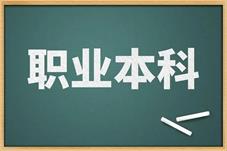 职业本科首个
