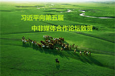 【重点关注】习近平向第五届中非媒体合作论坛致贺信