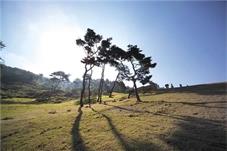 “野生景区”热度攀升，旅游风险治理需多方协同