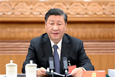 【党的二十大代表热议】新时代十年伟大变革具有里程碑意义