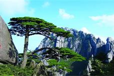 安徽黄山成中国首个可以先游玩后付款的景区