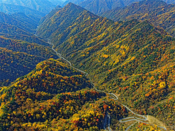 2022011064.jpg