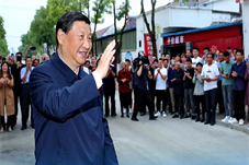 【要闻】习近平向“杂交水稻援外与世界粮食安全”国际论坛发表书面致辞