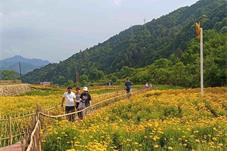 陕西佛坪：红色山村端牢旅游“饭碗”