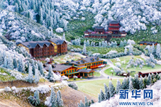 重庆冬季旅游开启 推出70余条冬季旅游线路
