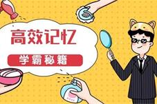 不靠死记硬背，大脑如何高效学习