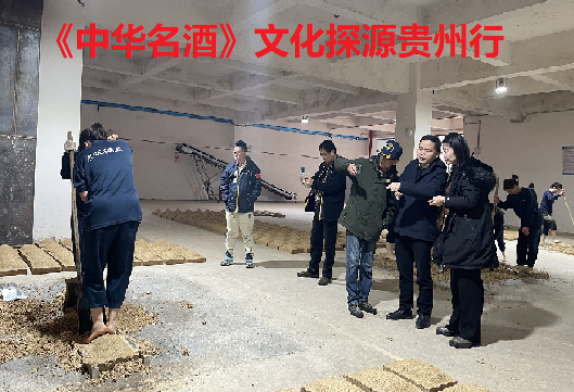 茅台05.png