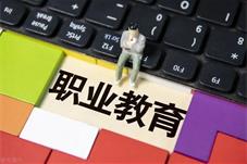 代表委员谈教育科技人才：加快发展职业教育