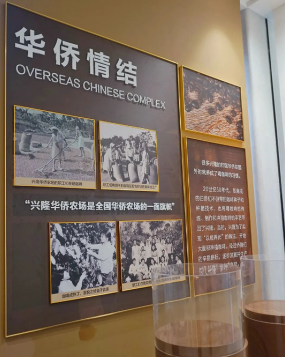 兴隆咖啡·正大产业园供图2.png 兴隆咖啡·正大产业园供图2.png