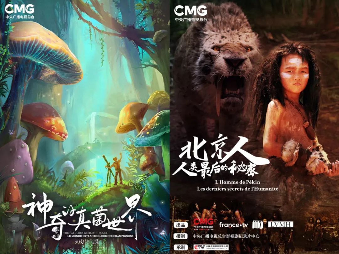 中法.jpg 中法.jpg