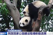 这个夏天 一起去国家公园和它们“偶遇”吧