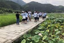 暑期国内研学游“乱花渐欲迷人眼”
