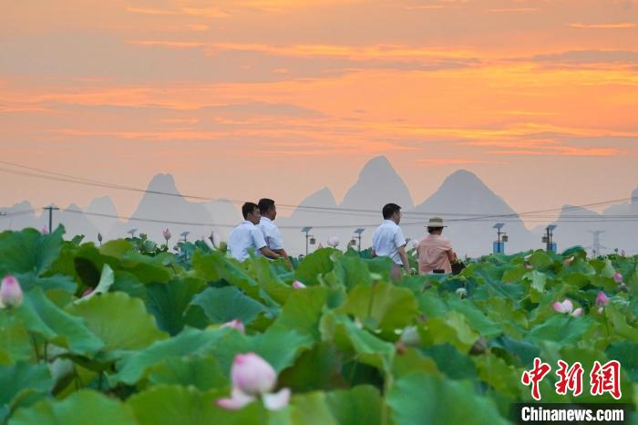 2023070183.jpg 2023070183.jpg