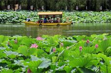 暑期旅游将过半，旅游市场释放出了哪些新信号？