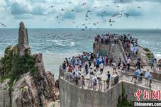 立秋将至 山东滨海旅游热度不减