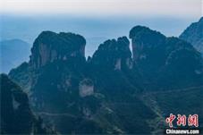 探访南太行：悬崖峭壁“四世同堂” 天然氧吧“森”呼吸