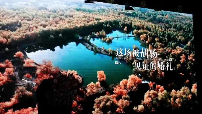 2023080284.jpg