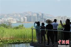 “暑期档”玩法上新 山东花样解锁今夏旅游“风向标”