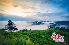 古丈县大力发展旅游产业：茶香苗韵 民宿情深