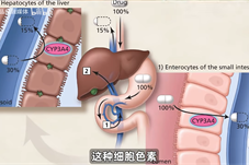 吃药需谨慎，西柚或成“隐形杀手”