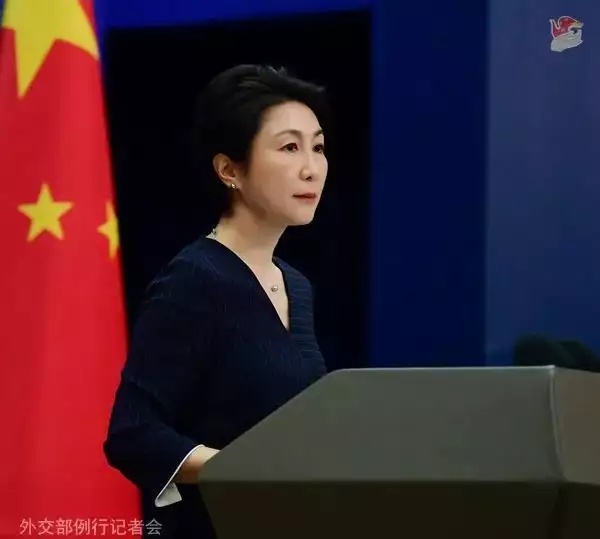 毛宁.jpg